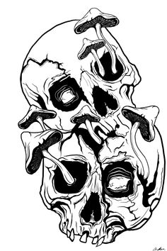 a black and white drawing of a skull