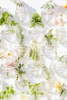 many different types of flowers and leaves on glass plates with words written in white lettering