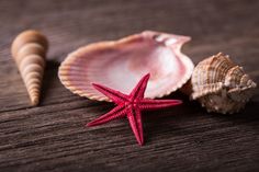 three seashells and one starfish on a wooden surface