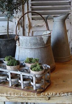 three buckets with plants in them sitting on a table next to an old window