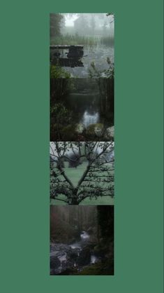 three different pictures with trees and water in the middle one has a heart shaped tree