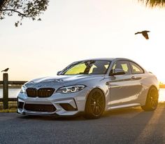 a white car parked on the side of a road next to a bird flying over it