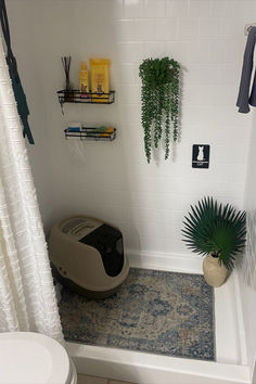 a bathroom with a cat litter box in the corner