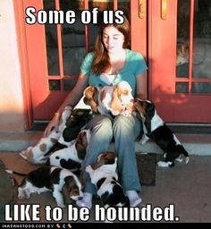 a woman sitting in front of a bunch of puppies with caption that reads, some of us like to be hounded