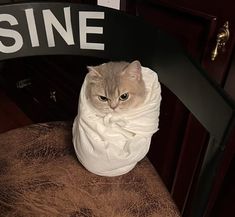 a cat wrapped in a blanket sitting on top of a chair next to a sign