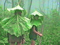 two people walking in the woods with umbrellas on their heads and one holding a plant