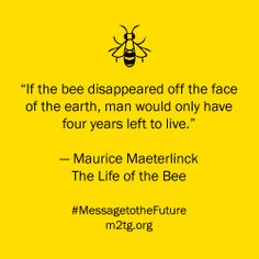 a yellow background with a quote from maurice materlick about the life of the bee