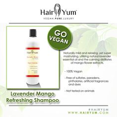 🌱HairYum Lavender Mango Shampoo🌱  .  .  .  .  #lavendermango #shampoo #hairyum #hairyumsmellssogood #thenaturalway #vegan #naturalhair #hair #protectivestyles #kidshair #washngo #pure #organic #veganhaircare #petaapproved #hairproducts #pressncurl #hairyumveganhaircare #hairyumcollection #naturalhairdaily #curlybeauties #hairqueen #nappyvegan #naturallyvegan #hair #vegan #naturals #beauty #nappy #frolicious #naturalista Protein Conditioner, Detangling Hair, Weak Hair, Vegan Hair, Natural Hair Community