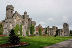 an old castle with green grass and flowers in the foreground on a cloudy day