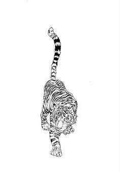 a black and white drawing of a tiger standing on its hind legs with one paw in the air