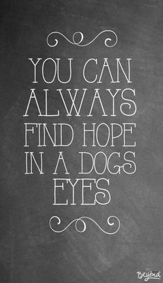 a chalkboard with the words you can always find hope in a dog's eyes