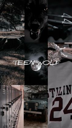 Aesthetic Teen Wolf Aesthetic Wallpaper, Teen Wolf Aesthetic, Teen Wolf Poster, Wolf Aesthetic