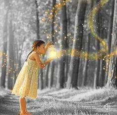 Fireflies Faith Hill, Black And White Photographs, Firefly, Color Splash, The Dreamers, Fairy Tales, Black And White, Yellow, Grey