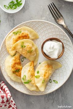 some food is sitting on a plate with a small bowl of sour cream next to it