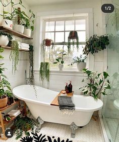 a bathtub filled with lots of plants next to a window