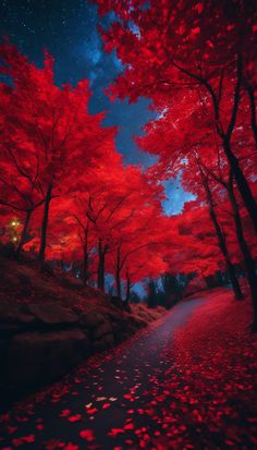 the night sky is lit up with red leaves and stars above a road lined with trees