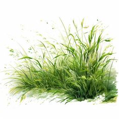 Grass Clipart in Oil Painting Style Art: High-Res 4K & Vector Grass Graphic, Grass Png, Grass Clipart, Grass Drawing, Grass Illustration, Grass Art, Grass Painting, Unique Tattoo Designs, White Tattoo