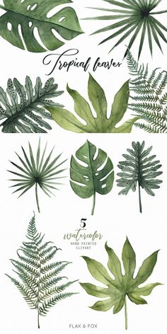 some green leaves and plants are shown in this watercolor painting technique by flax & fox