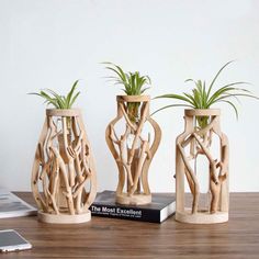 three wooden vases with plants in them on a table next to a laptop computer