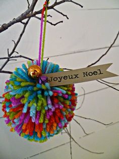 a colorful ornament hanging from a tree with a sign that says joyeux noel