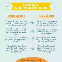 the rules for raising non - violent kids to learn how to stop and use them