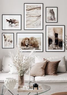 a living room filled with lots of pictures on the wall above a glass coffee table