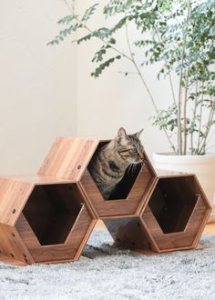 Cat Cube Set of 3 Wood Grain Cardboard Water Repellent Antibacterial House Box Turkey Furniture, Stylish Cat Furniture, Cat Habitat, Geometric Side Table, Geometric Coffee Table, Dog Cave, Cats Cradle, Cat Cave, Stylish Interior