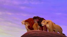 the lion king simba, nala, and mufa are standing on top of a rock