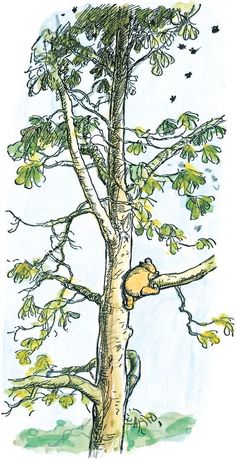 a drawing of a bear in a tree