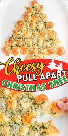 Pull A Part Christmas Tree Bread, Garlic Pull Apart Christmas Tree, Dinner Roll Christmas Tree, Christmas Tree Pull Apart Buns, Cheesy Bread Recipes Pull Apart, Cheesy Pull Apart Rolls, Pull Apart Cheesy Christmas Tree, Cheesy Garlic Pull Apart Bread Christmas Tree, Christmas Tree Garlic Knots