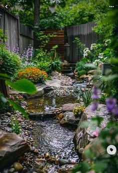 a small stream running through a lush green forest filled with lots of plants and flowers