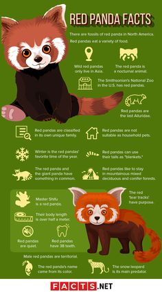 the red panda and other animals are depicted in this info sheet, which includes information about their habitat