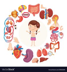 an illustration of a girl surrounded by various human body parts