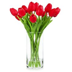 red tulips are in a clear vase on a white background, as well as green stems