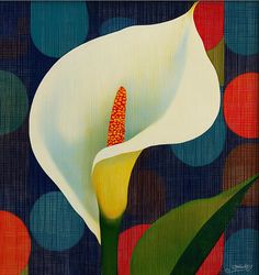 a painting of a white flower with red stamen in the center, surrounded by circles