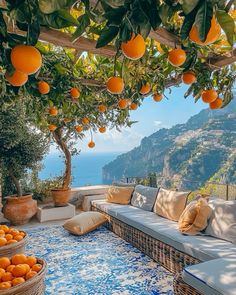 an outdoor patio with oranges on the trees