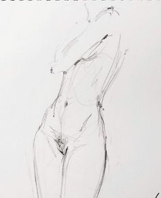 a pencil drawing of a naked woman's torso