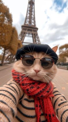 a cat wearing sunglasses and a hat in front of the eiffel tower