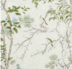 a wallpaper with birds and flowers on the branches in front of a white background