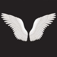 two white wings on a black background