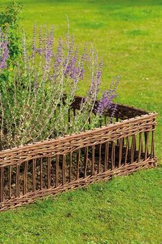 a basket filled with purple flowers in the grass