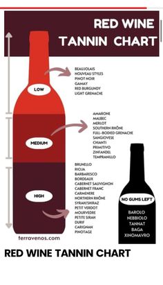 Wine Cheat Sheet, Red Wines Guide, Wine Basics, Wine Chart, Wine Facts, Wine Flavors, Wine Knowledge, Wine Education, Orange Wine