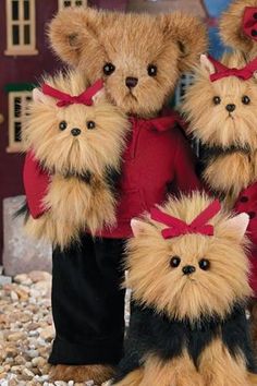 four teddy bears dressed in red and black clothes, one is wearing a sweater the other has long hair