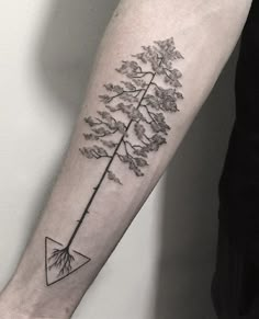 a black and white photo of a tree with leaves on it's arm, in the shape of a triangle