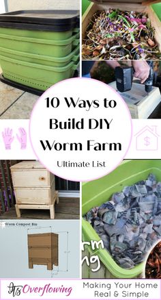 the words 10 ways to build diy worm farm ultimate list are in pink and green