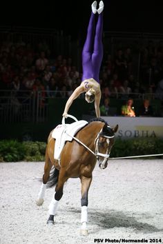 a person on a horse doing a handstand