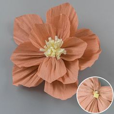 an image of a flower that is on the table