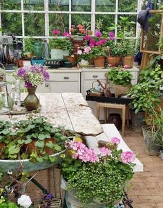 many potted plants are on the table in this garden room, with several windows above them