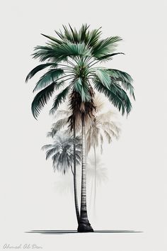 two palm trees are shown against a white background