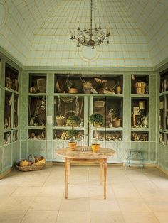 a room with green walls and shelves filled with plants